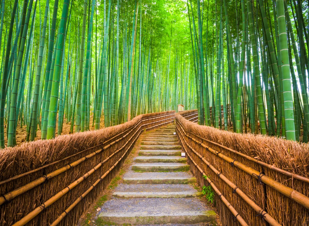 Cuánto cuesta viajar a Japón